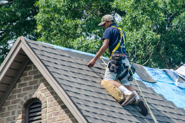 Best Roof Repair Services  in Beloit, OH